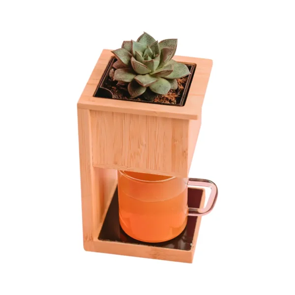 Alder Wireless Charger with Planter - Image 4