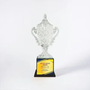 CG 211 Crystal Trophy