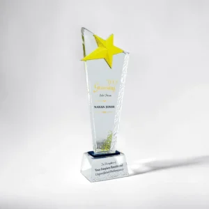 CG 534 Crystal Trophy